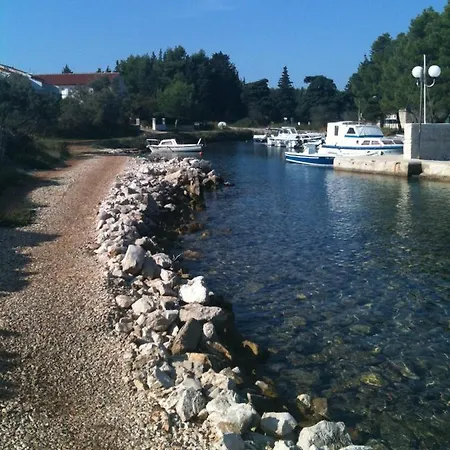 Hranjec Daire *